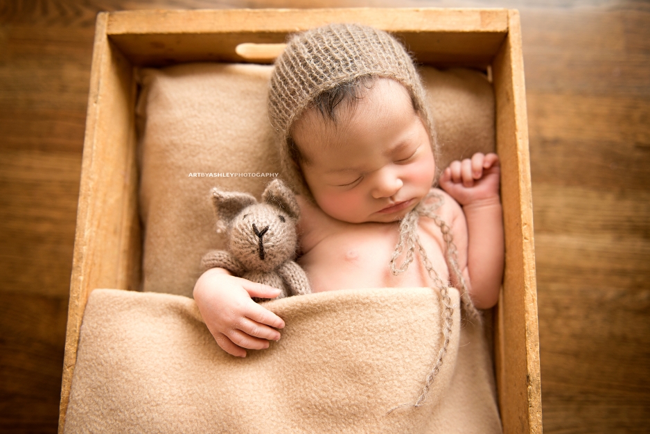 Greensboro Newborn Pictures(002)