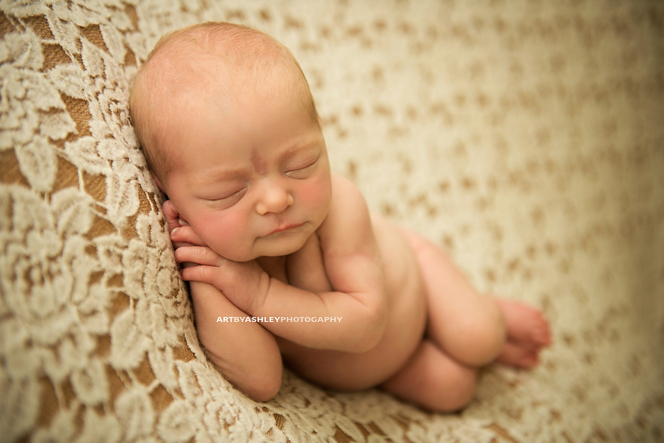Greensboro Newborn Photographer(021)