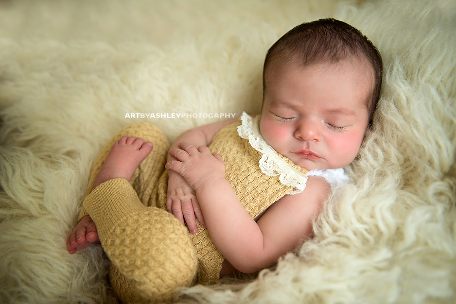 Greensboro Newborn Photographers(015)