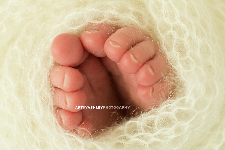 Greensboro Newborn Photographers(016)