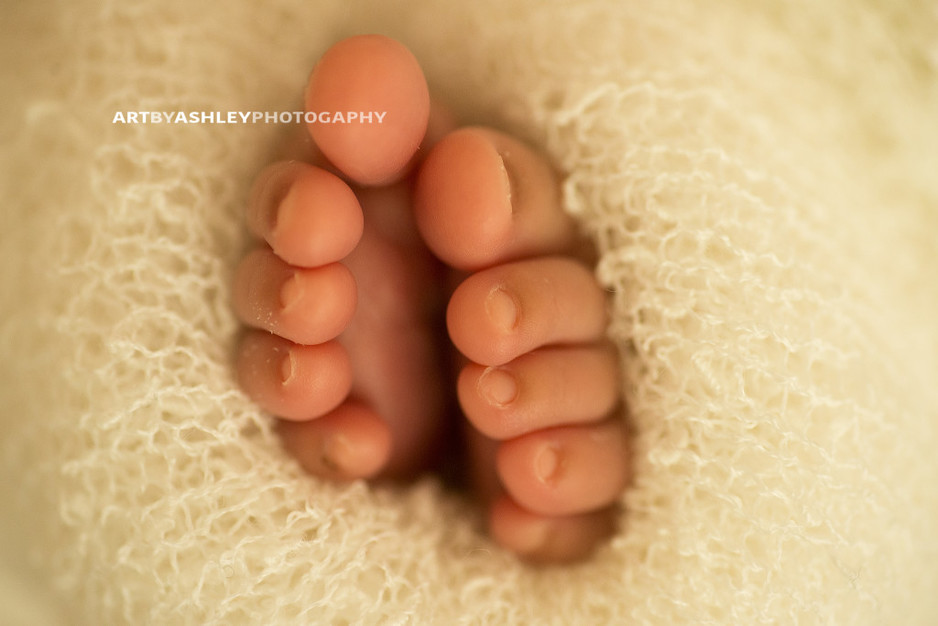 Greensboro Newborn Photographer(032)