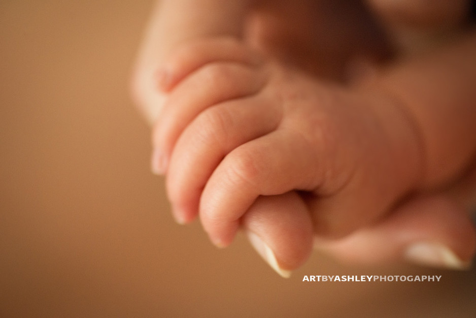 Greensboro Newborn Photographer(045)