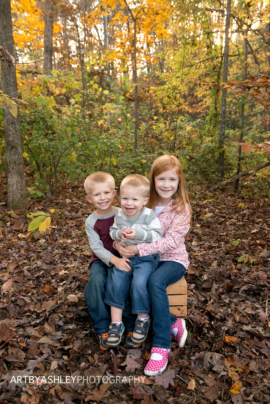 Greensboro Family Photographer(012)