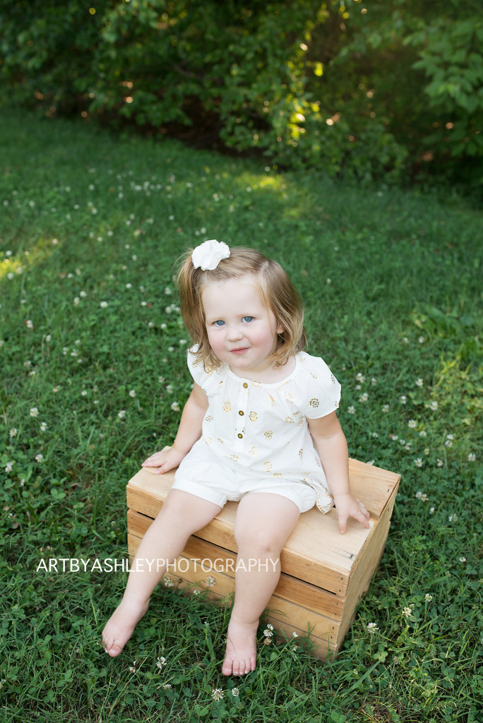 Greensboro Family Photographer(002)